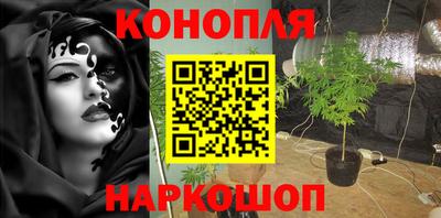 spice Гагарин