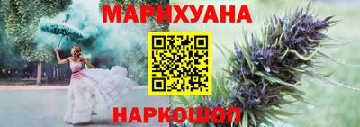 амф Гатчина