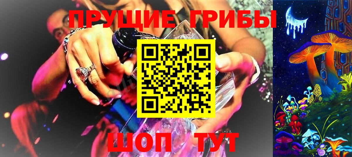 купить  цена  Вход с VPN  Геленджик  Псилоцибиновые грибы Cubensis 